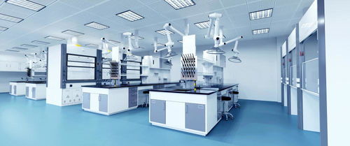 实验室建设手册 家具篇——打造安全、高效、可持续的实验环境